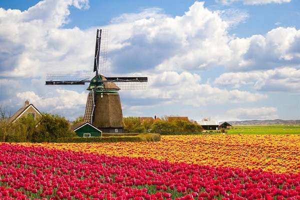 Hà Lan nằm trong nhóm những quốc gia có mức độ tham nhũng thấp nhất thế giới
