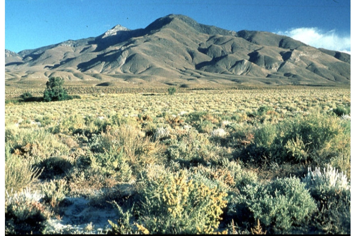 Sa mạc Great Basin