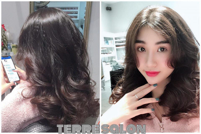 Terre Hair Salon