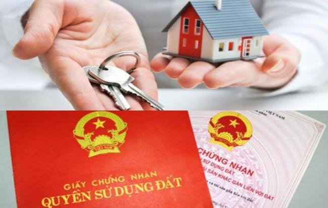 Sàn bất động sản Thạch Kim