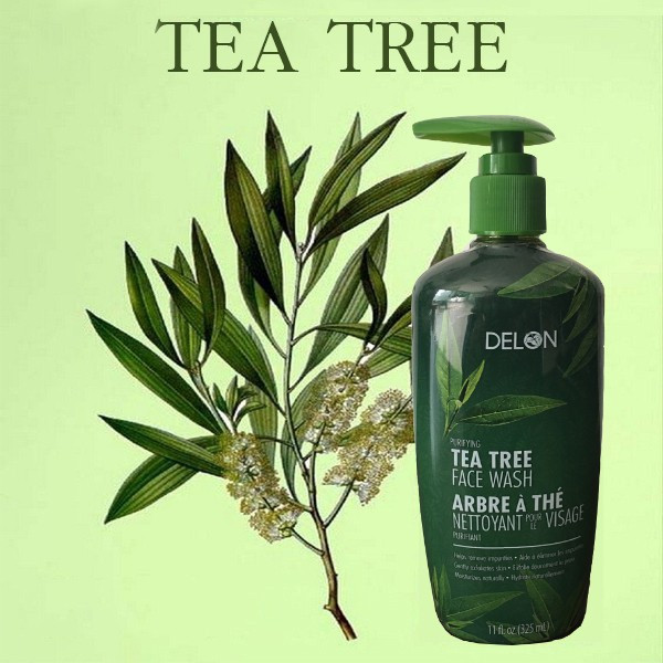 DELON Tea Tree Face Wash với chiết xuất từ tinh dầu tràm trà