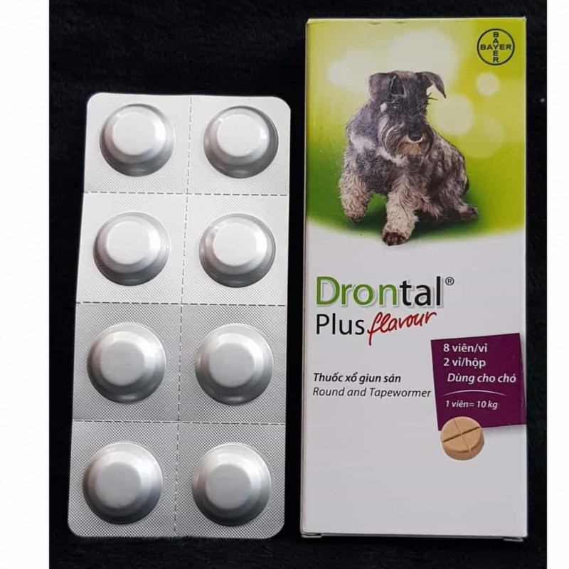 Thuốc xổ giun Drontal Plus Bayer cho chó