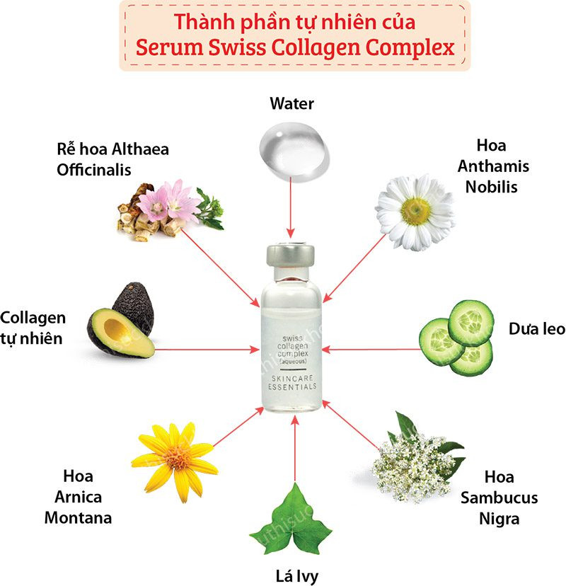 Serum Swiss Collagen Complex