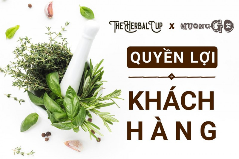 The Herbal Cup Vietnam