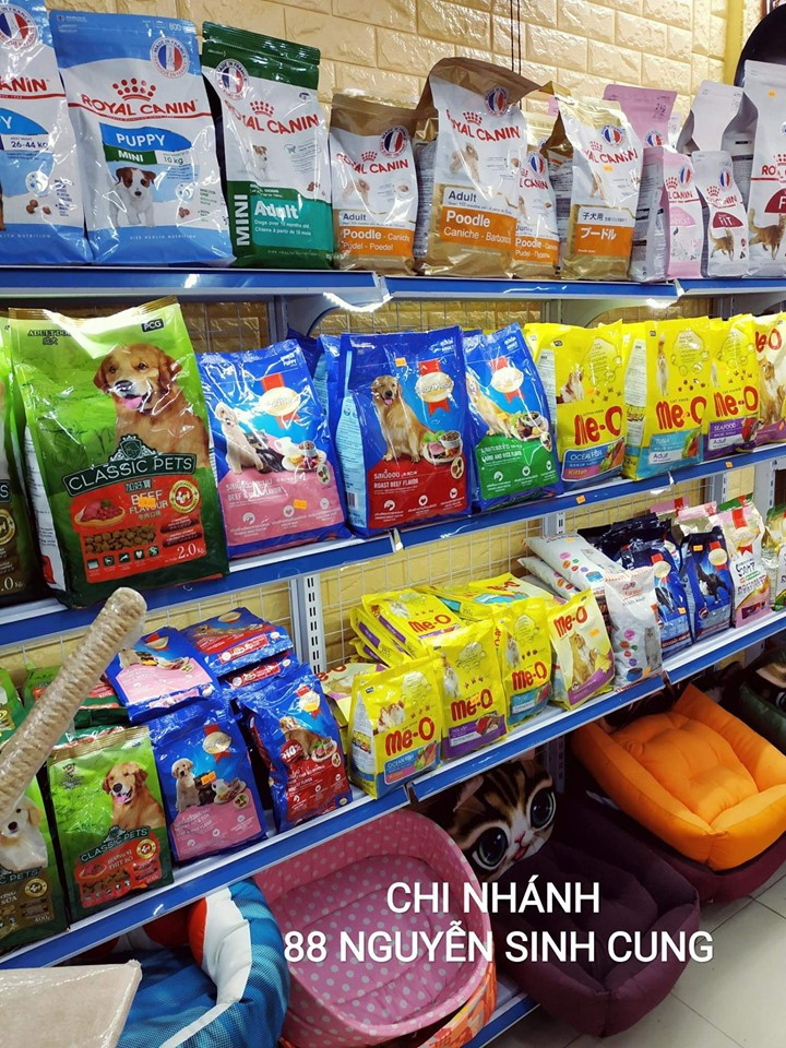Shop Chó Mèo - Huế
