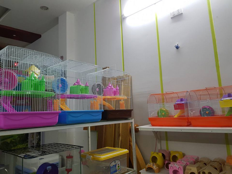 TH pet shop - Shop thú cưng Quy Nhơn