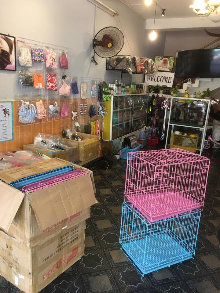 PETS QUY NHON SHOP