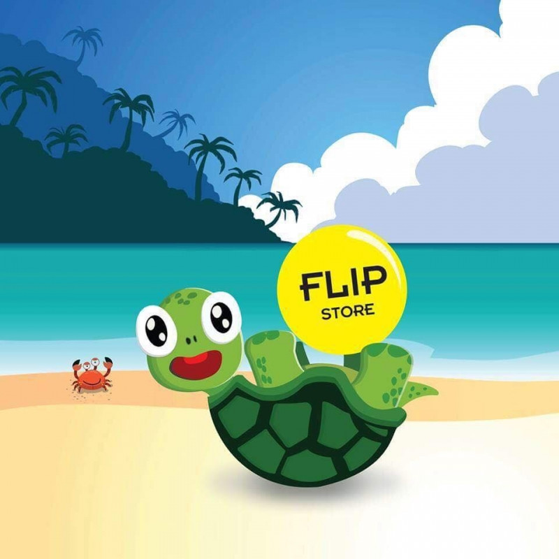 Logo chú rùa đáng yêu của Flip