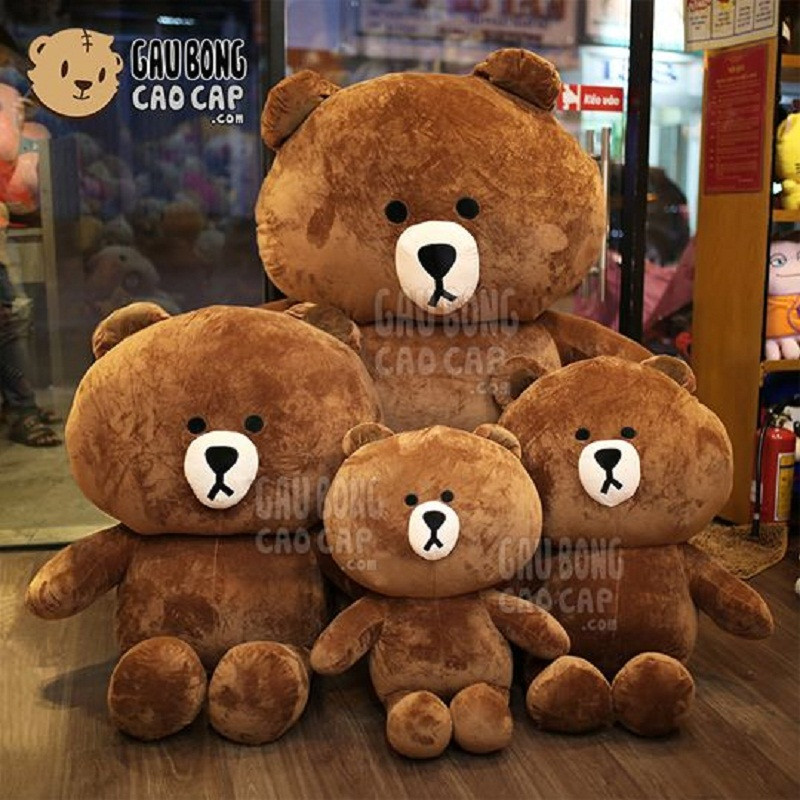 Gấu Brown Size Lớn: 1m, 1m2, 1m4, 1m8