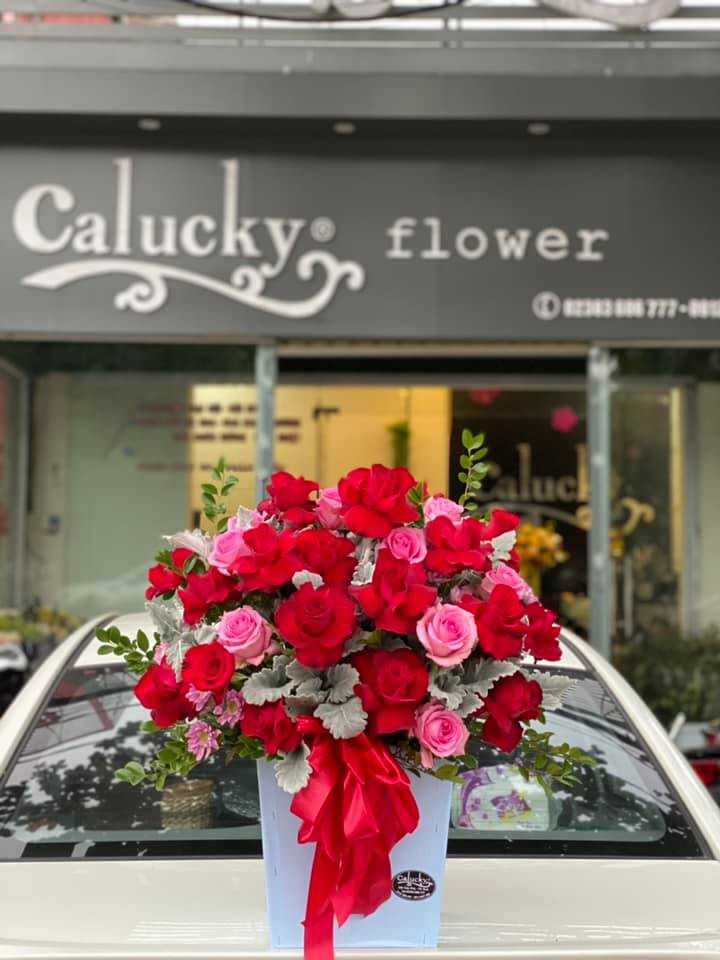 Calucky Flower - Điện Hoa Nghệ An