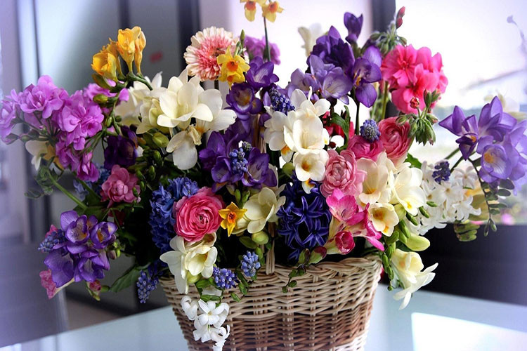Những lẵng hoa tuyệt đẹp tại shop Minh Thư