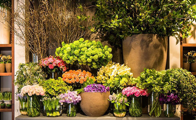 Đến với Điện hoa Đạm Nhã 3 là đến với thế giới hoa tươi với những mẫu hoa mới nhất, đẹp nhất của các shop hoa tươi nghệ thuật trên toàn quốc