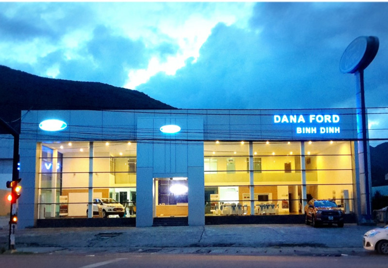 DANA Ford Bình Định