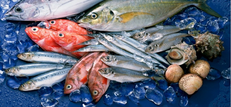 Canxi và vitamin D trong cá và hải sản giúp bảo vệ men răng