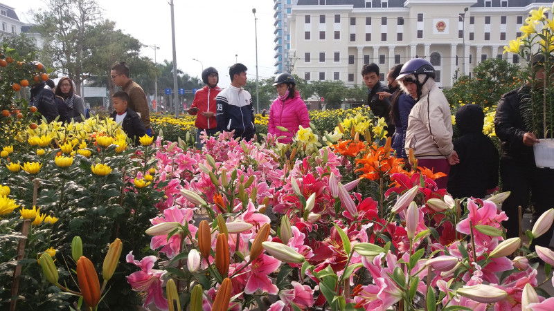 Chợ hoa Tết Đà Nẵng