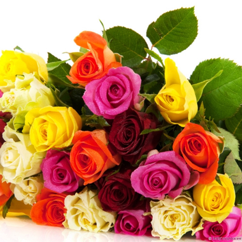 Với thông điệp cám ơn nửa kia cũng như tình yêu của họ, bạn hãy tặng tổng 12 bông hoa hồng