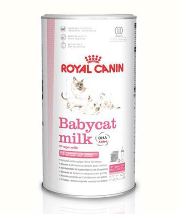 Sữa Cho Mèo Con Royal Canin Babycat Milk 300g