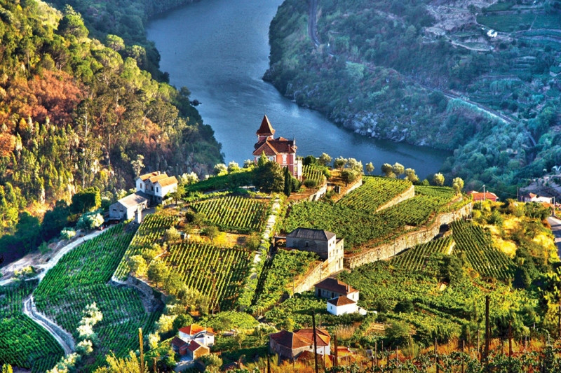 Douro là một địa danh nổi tiếng nhất thế giới về vùng rượu vang lâu đời nhất