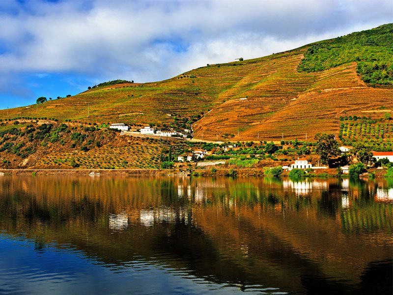 Thung lũng Douro - Bồ Đào Nha