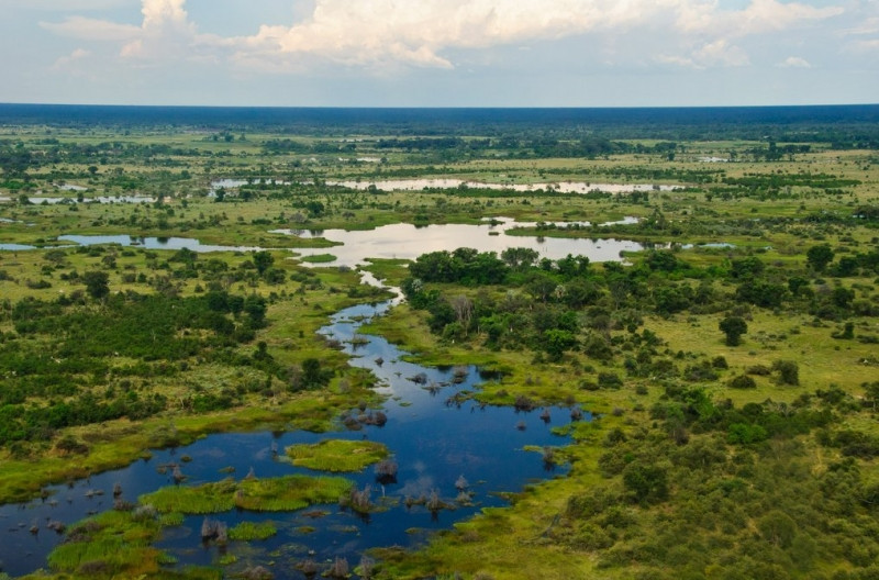 Khung cảnh thiên nhiên tuyệt đẹp ở Botswana
