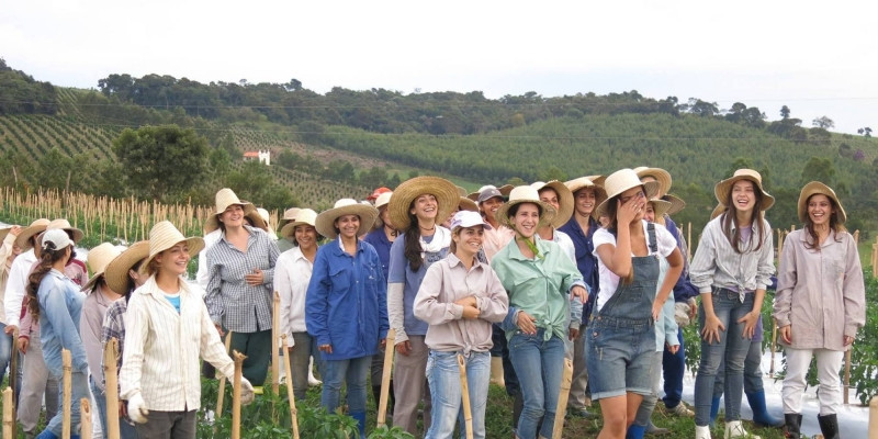 Noiva Do Cordeiro, Brazil