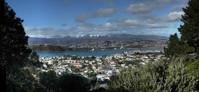 Thành phố Wellington, New Zealand nhìn từ một ngọn đồi