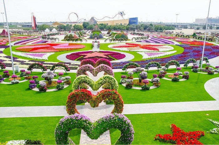 Miracle Garden – vườn hoa tự nhiên lớn nhất thế giới