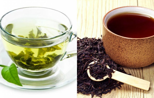 Trà xanh và trà đen