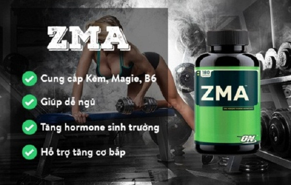 ZMA cũng là một loại thực phẩm chức năng tốt cho người tập thể hình