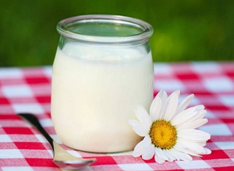 Sữa chua rất giàu axit amin giúp tái tạo protein và các protein này sẽ giúp cho việc phát triển các cơ
