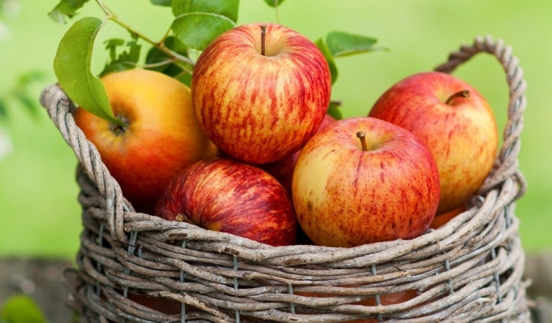 Trong thực đơn tráng miệng mỗi ngày nên cho táo vào nếu bạn hiện đang mắc chứng bệnh khó ngủ.