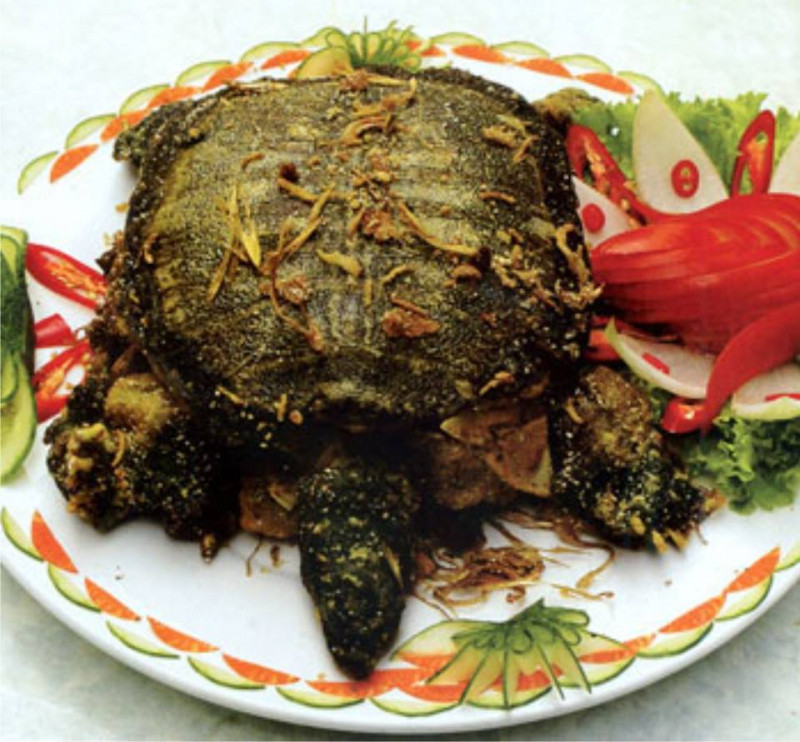 Ăn trứng cùng lúc với thịt rùa có thể dẫn đến ngộ độc thực phẩm.