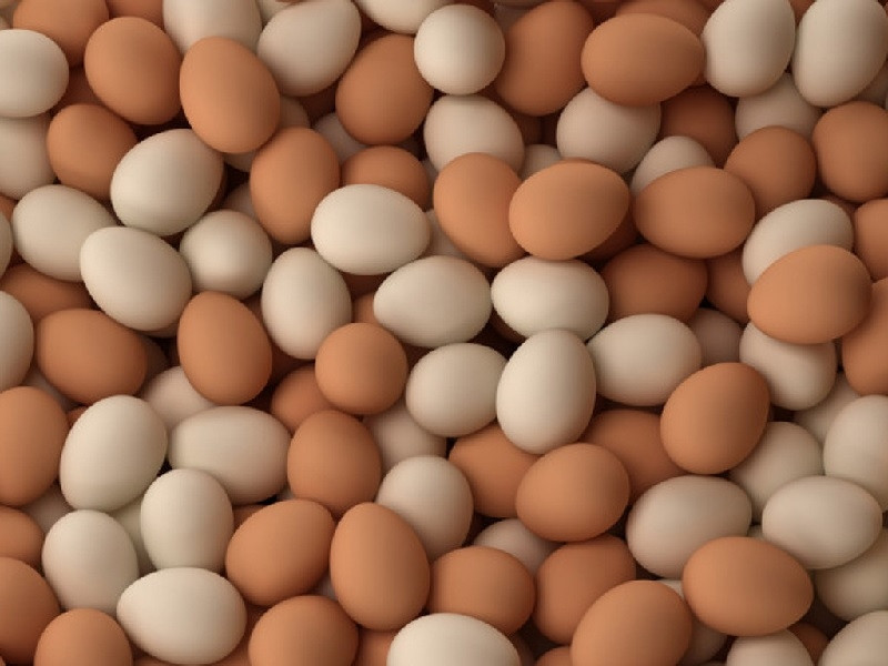 Trứng gà cung cấp choline và vitamin B