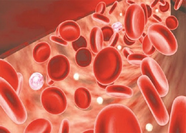 Viên bổ máu Feromax có chứa nhiều sắt và acid folic giúp tái tạo và tăng lượng máu trên có thể