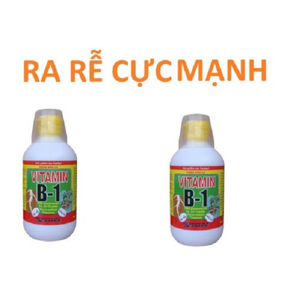 Siêu ra rễ Vitamin B1 cho cây trồng