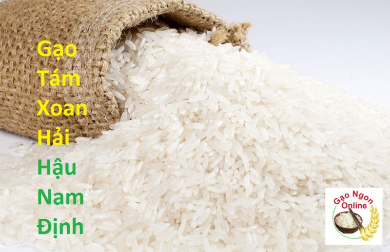 Gạo tám xoan - Đặc sản nức tiếng của vùng đất Hải Hậu