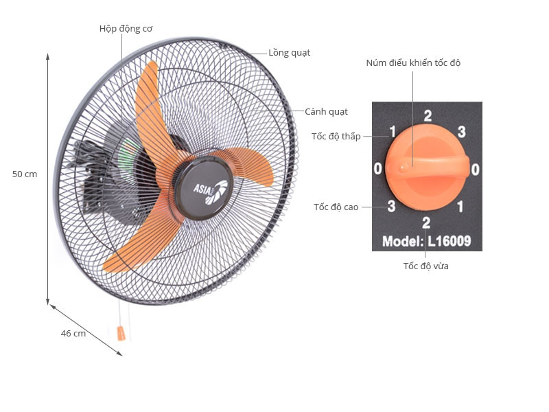Quạt treo tường của Asia