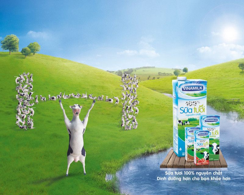 Vinamilk hiện là doanh nghiệp hàng đầu của ngành công nghiệp chế biến sữa