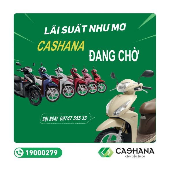 Tài Chính Cashana