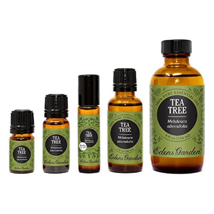 Tinh dầu tràm trà Lemon Tea Tree Essential Oil của Edens garden