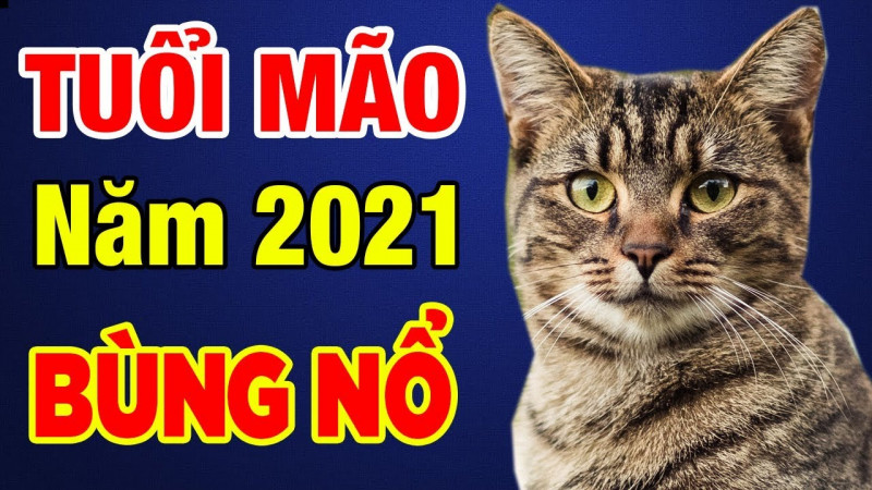 Năm 2021, sự nghiệp người tuổi Mão hứa hẹn có nhiều thành công rực rỡ