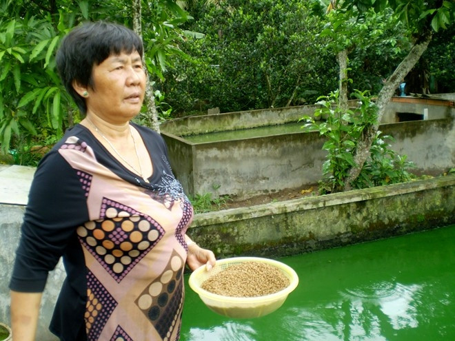 Bà Trịnh Thị Nguyệt