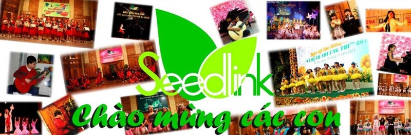 Seedlink thường xuyên mở lớp học mới