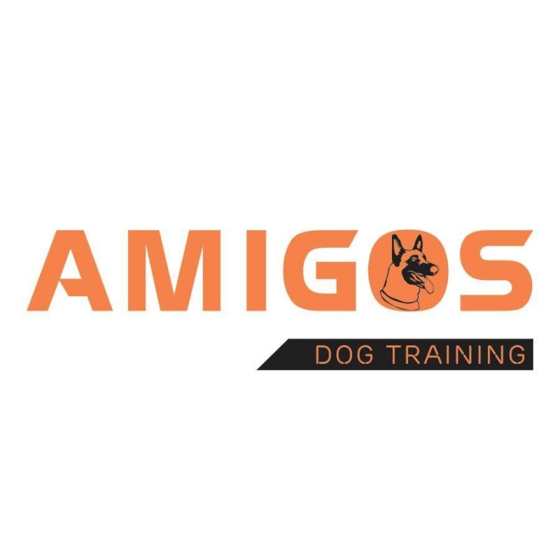 Hình đại diện của Amigos dog training