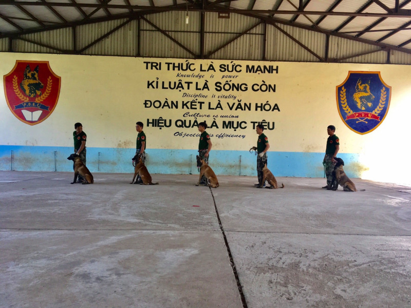 Trung tâm huấn luyện chó nghiệp vụ PDS tại Trâu Quỳ - Hà Nội