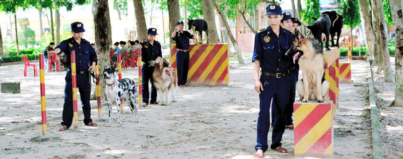 Trường huấn luyện chó Quân Cảnh TPHCM