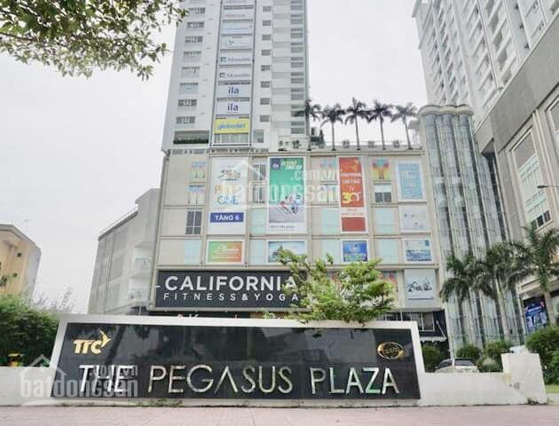 The Pegasus Plaza
