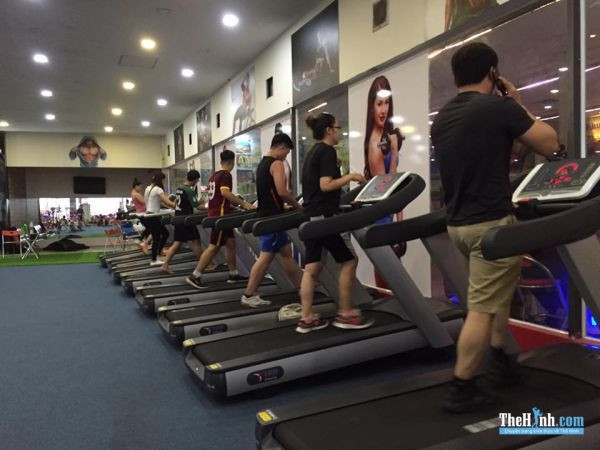 Phòng Tập Gym King Fitness