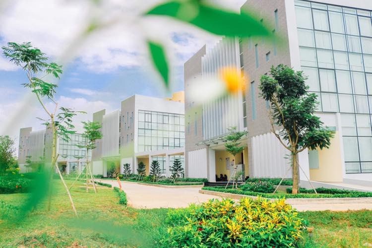 Đại học Khoa học xã hội và Nhân văn