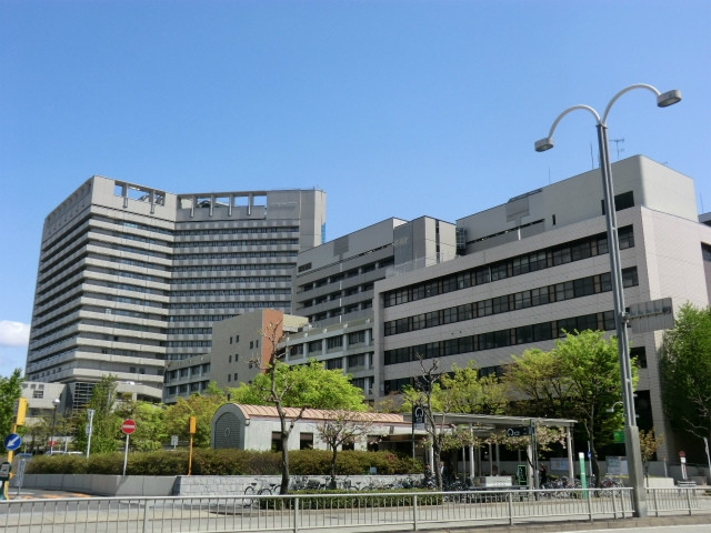 Đại học Nagoya sở hữu một bệnh viện, có 15 trường đào tạo chuyên ngành và 7 trường đào tạo đại học